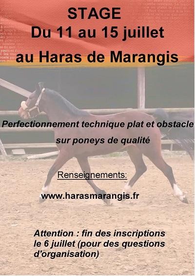 haras-de-marangis_123