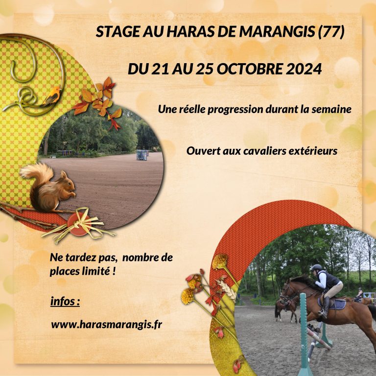 stage octobre 2024