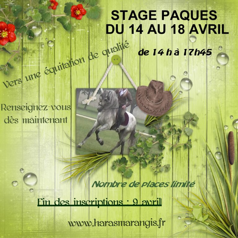 stage-de-paques-haras-de-marangis